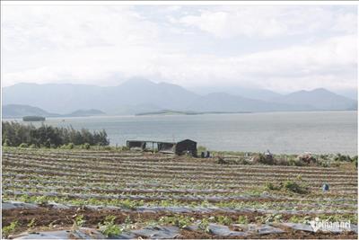 Từ lòng hồ lên vùng đất mới: Buôn Thung khởi sắc.